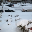 2010-02-06 (001)